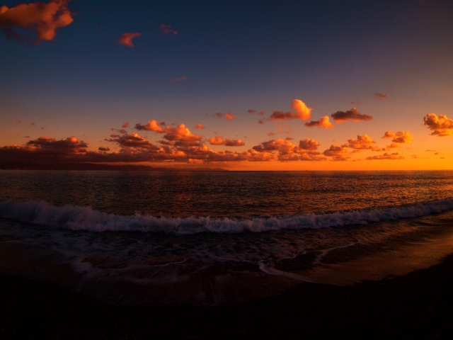 Fortitude Japan - お問い合わせ・ご相談